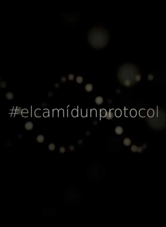 EL CAMÍ D’UN PROTOCOL